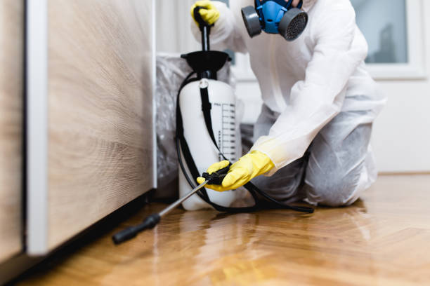 Best Mosquito Control Services  in Centreville, MI