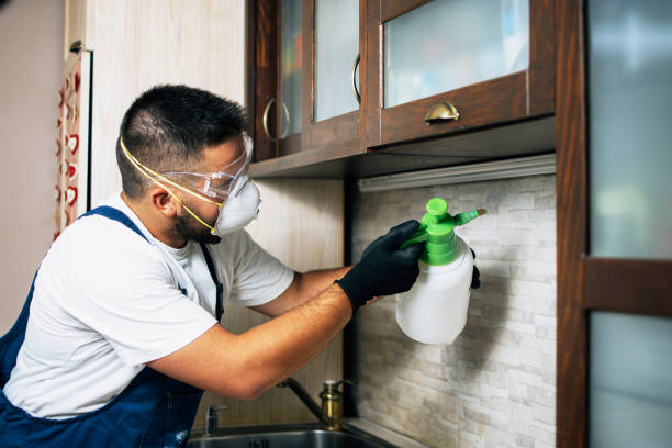 Best Insect Control  in Centreville, MI