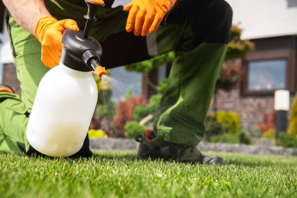 Best Residential Pest Control  in Centreville, MI