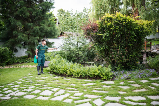 Best Commercial Pest Control Services  in Centreville, MI