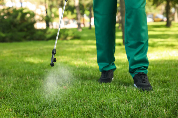 Best Local Pest Control Services  in Centreville, MI