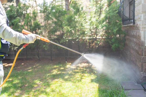 Best Cockroach Control Services  in Centreville, MI