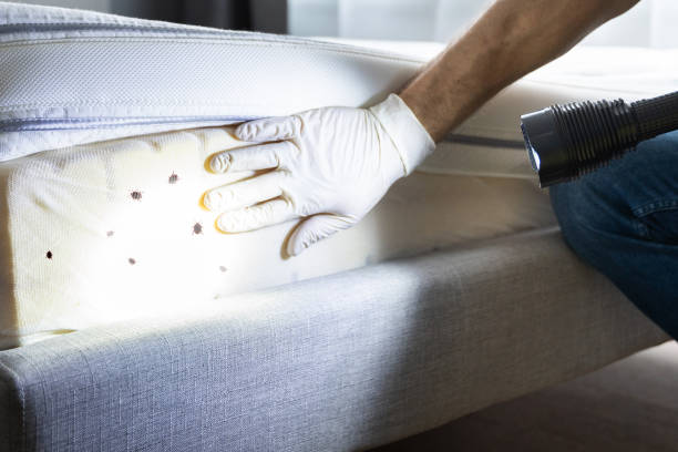 Best Pest Removal Services  in Centreville, MI