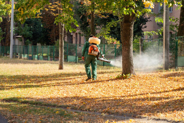 Pest Prevention Services in Centreville, MI