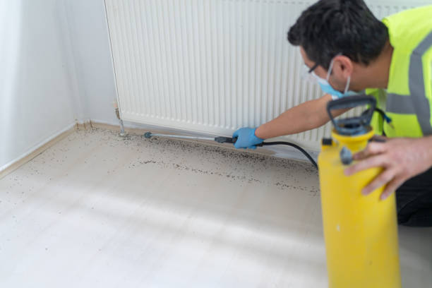 Professional Pest Control in Centreville, MI