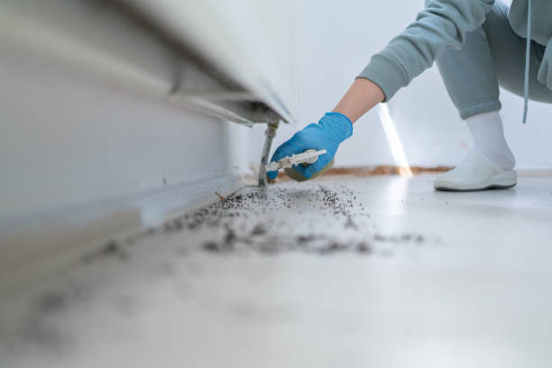 Best Affordable Pest Control Services  in Centreville, MI